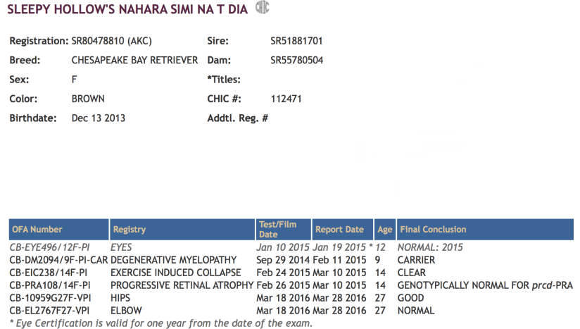 Screen Shot 2017-04-29 at 10.39.11 AM