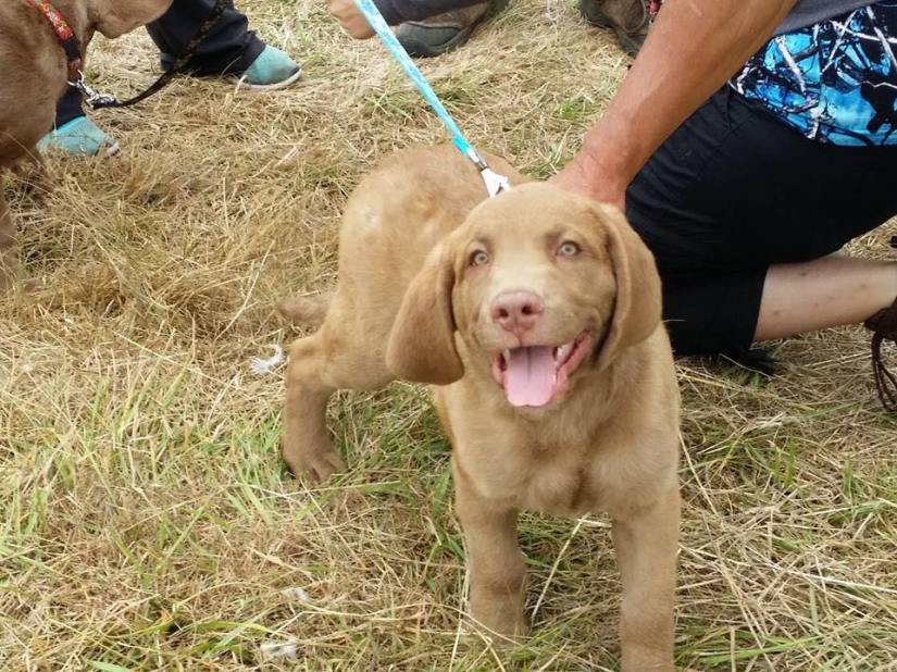 20770518_347675408978861_1585945421912395006_n